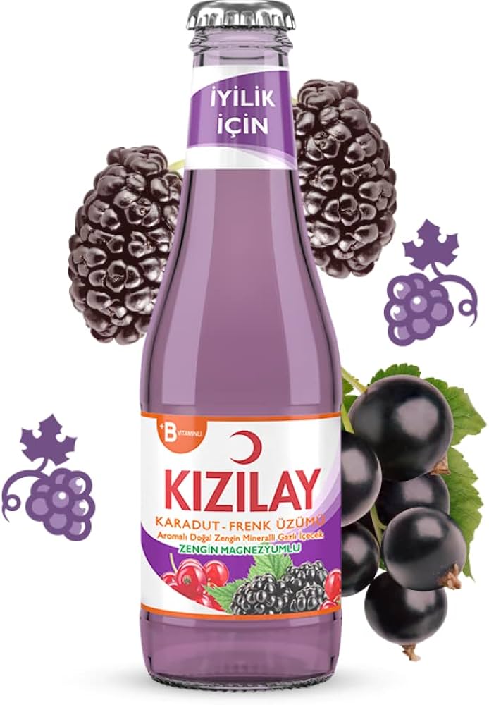 KIZILAY KARADUT VE FRENK ÜZÜMÜ AROMALI MADEN SUYU 200 ML